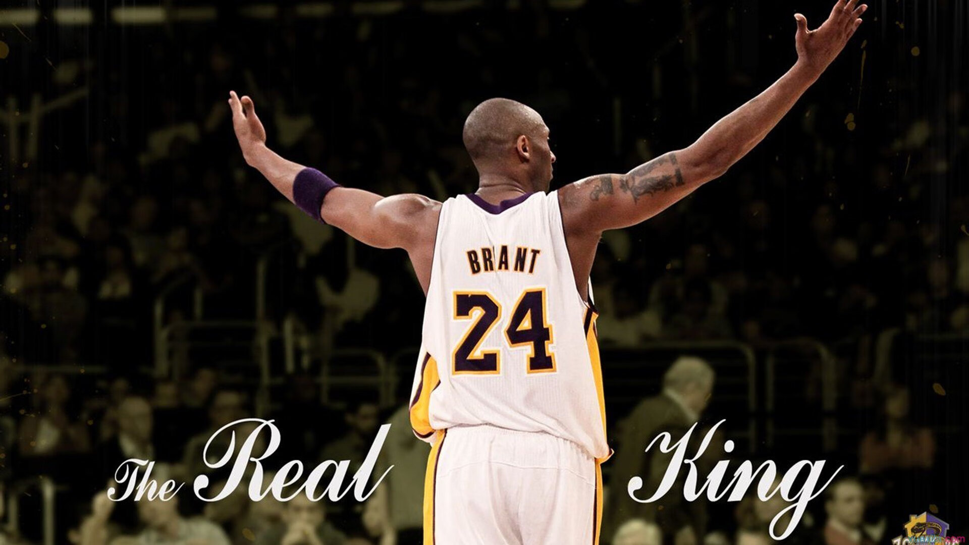 德约科维奇连续十五场比赛得分超过挺进下一轮，IG挑战极限！